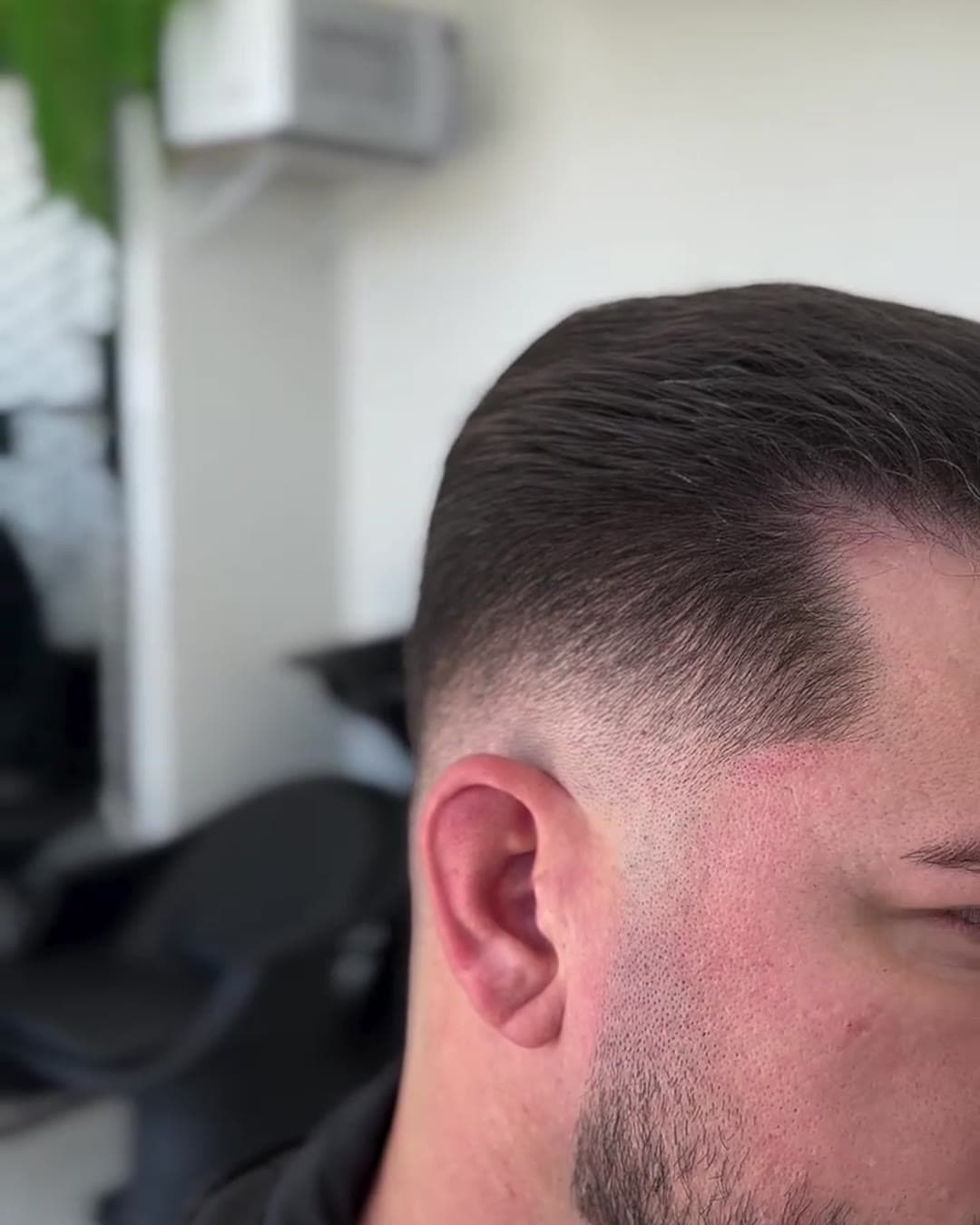 Corte